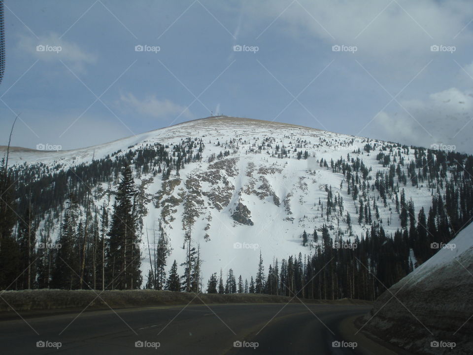 Snow, Winter, Landscape, Mountain, Tree