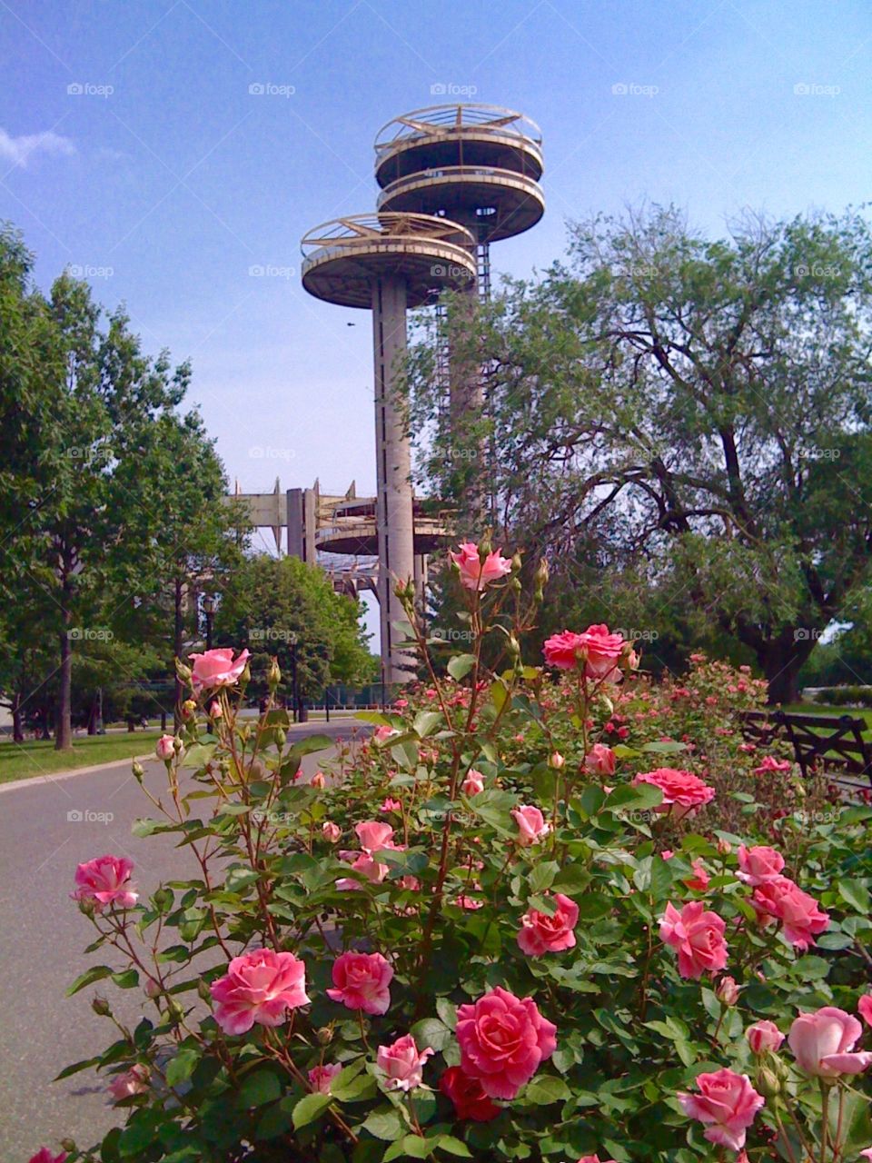 New York State Pavilion. Roses bloom at the New York State Pavilion from the 1964 Worlds Fair in Flushing Meadows, Queens.