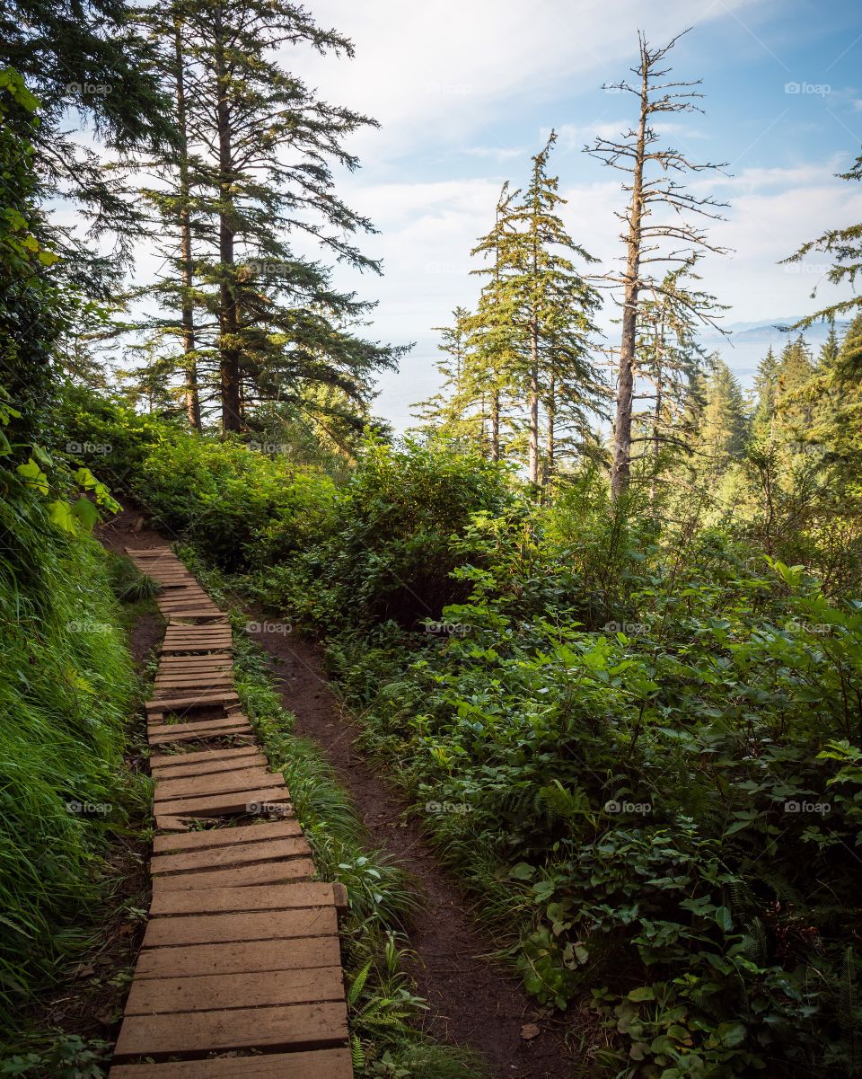 Walks in Oregon 