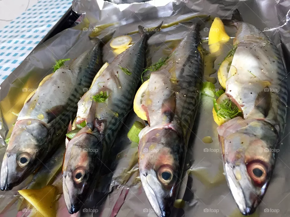 Mackerel 
