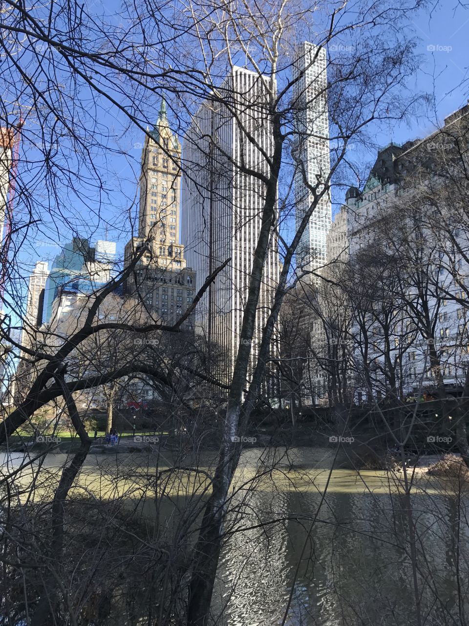 Spring afternoon at Central Park, NYC 