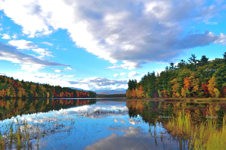 Fall at Maine. a stop at a roadside lake on our way to Portland, ME exposed one of nature's most lovely sceneries of a fall afternoon