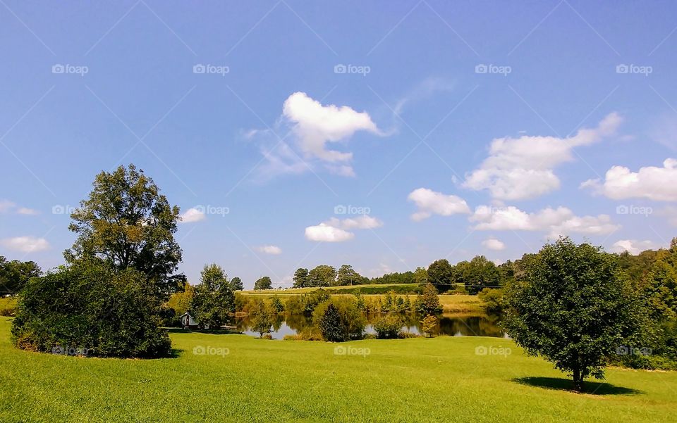 Landscape, Tree, No Person, Grass, Outdoors