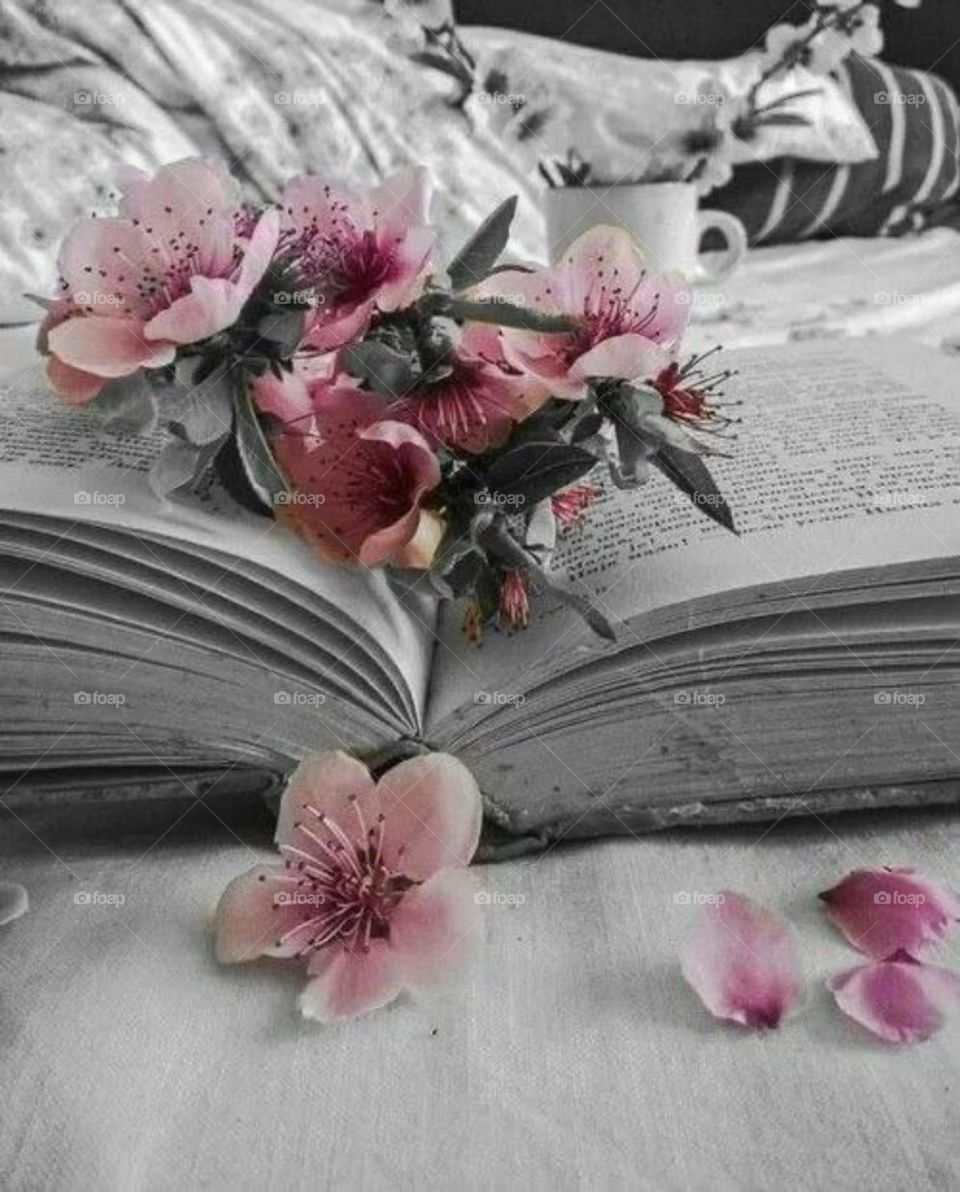 Roses on book