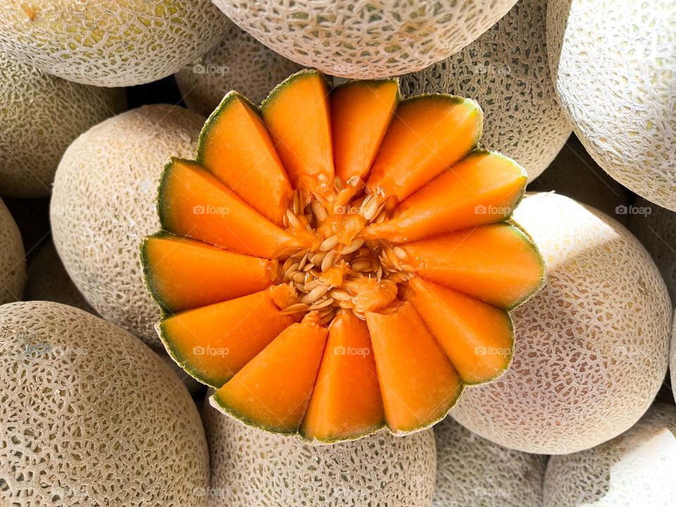  Melon