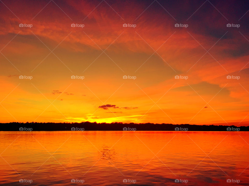 Silhouette of trees during sunset