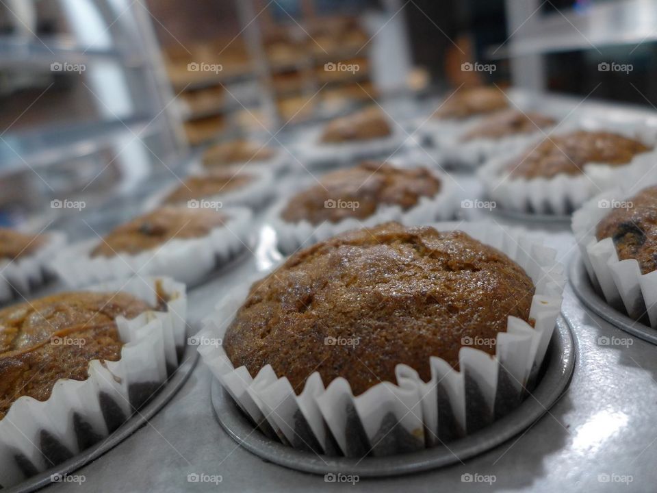 Chocolate, oatmeal cupcakes