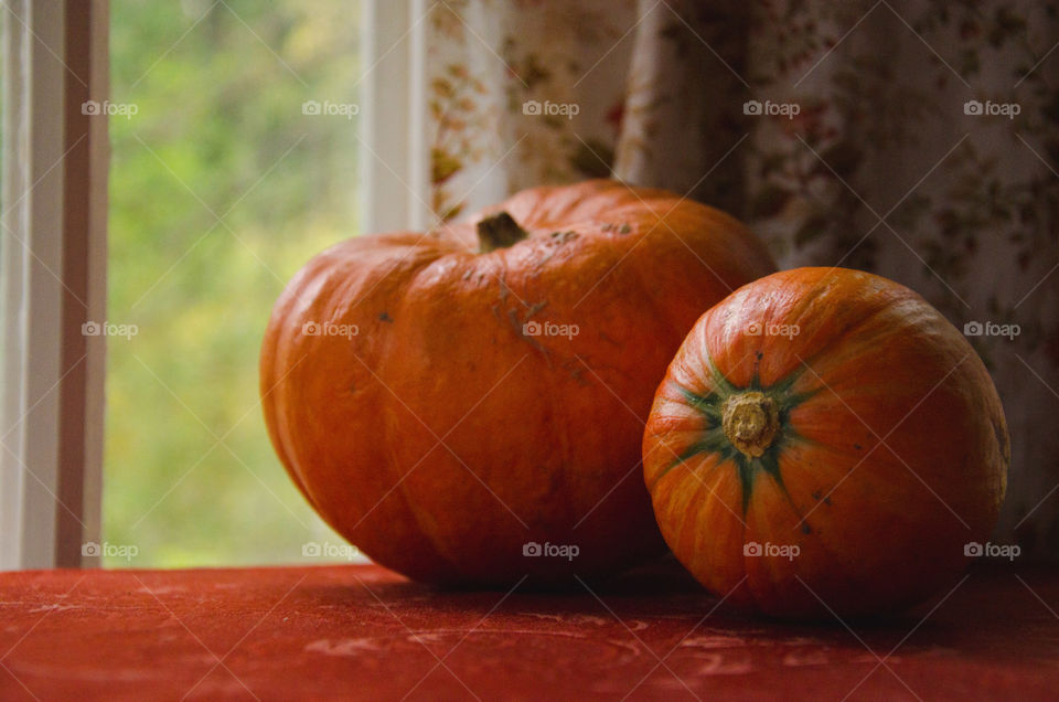 Still life with two orange pumpkins on a dark red fabric in a rustic style. Autumn harvest. Natural materials in interior decoration. Halloween.