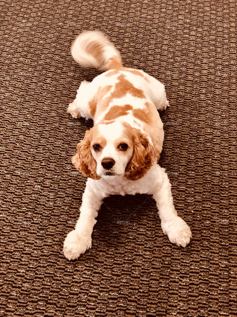 Come and play with me 