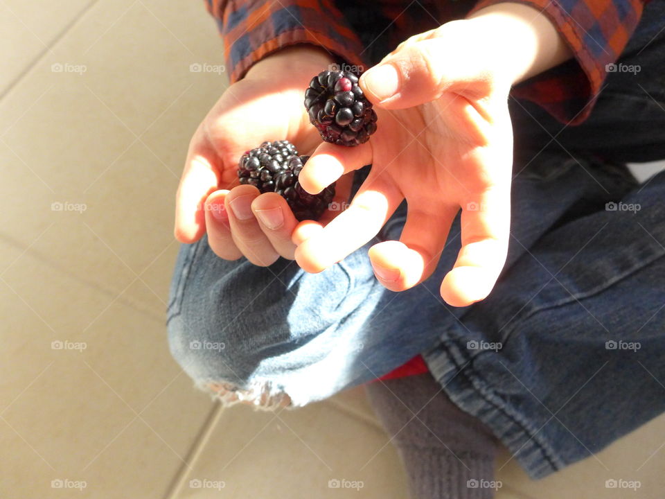 child isolating blackberry over ripped jeans, with other hand holding more blackberries