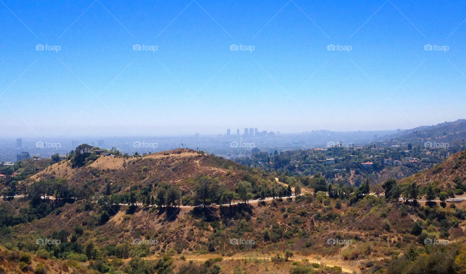 Foggy LA from Observatory