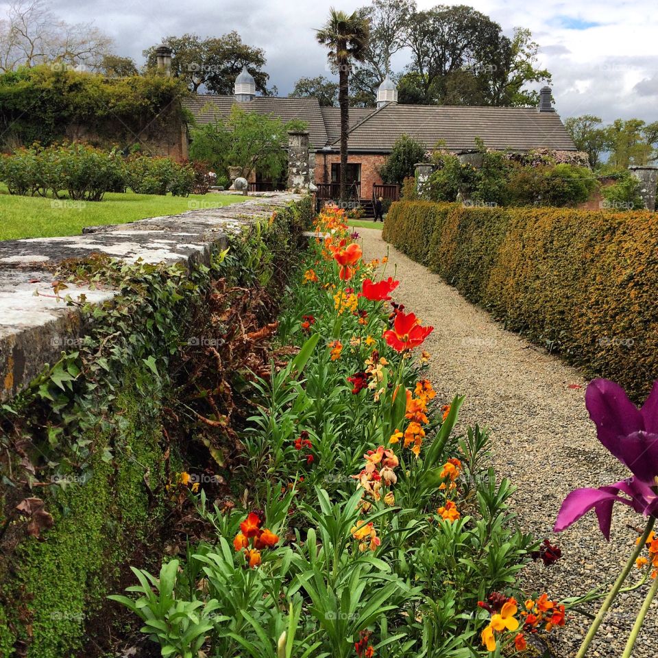 Dromoland gardens. Dromoland castle hotel garden