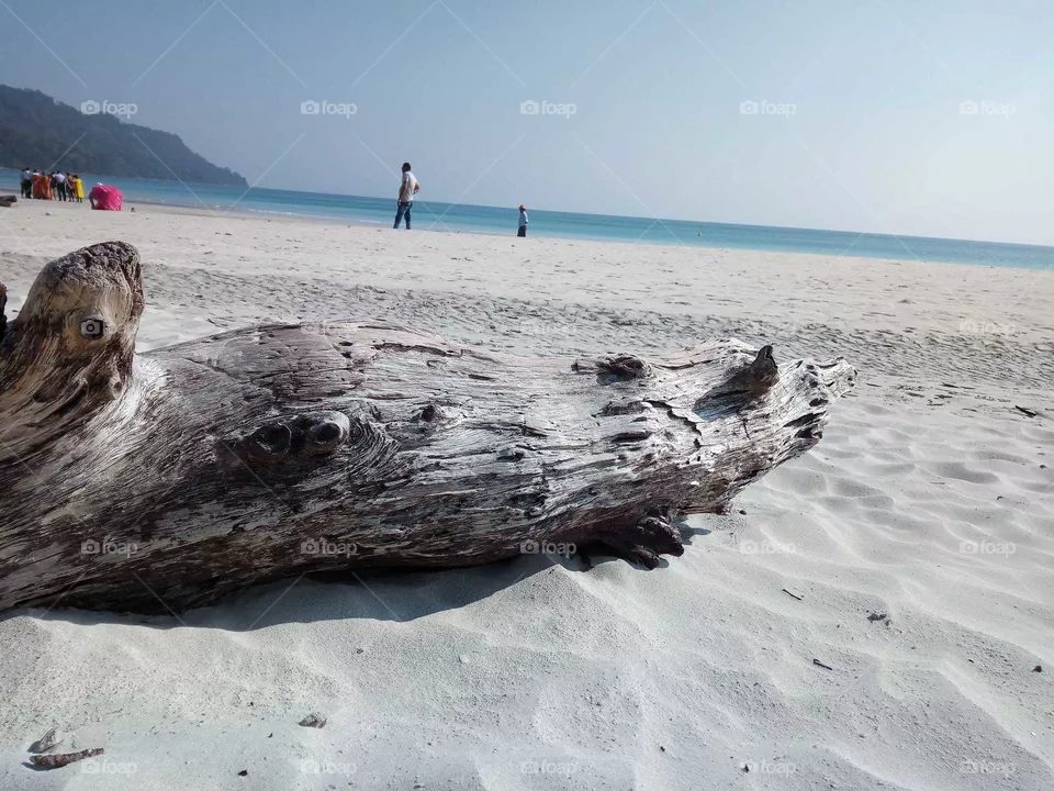 beach