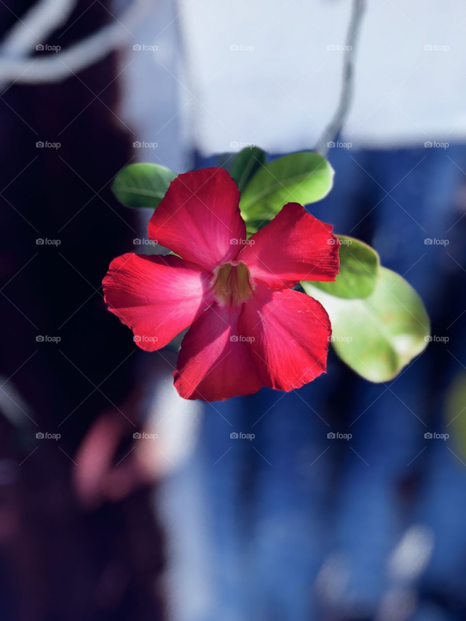 Every new day is another chance to change your life.