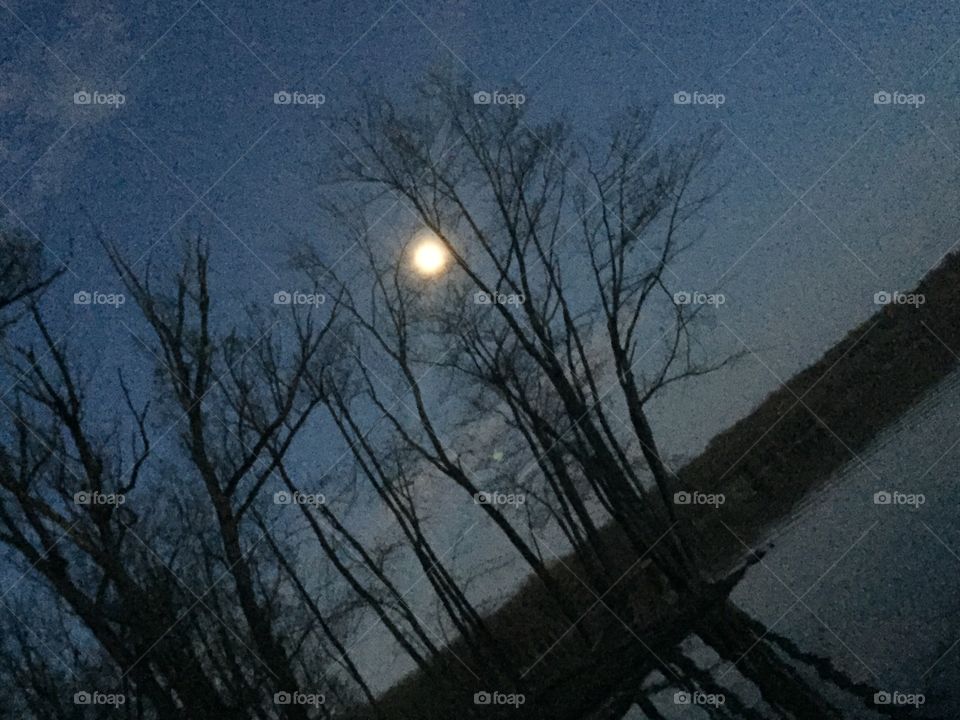 Night sky from the beach