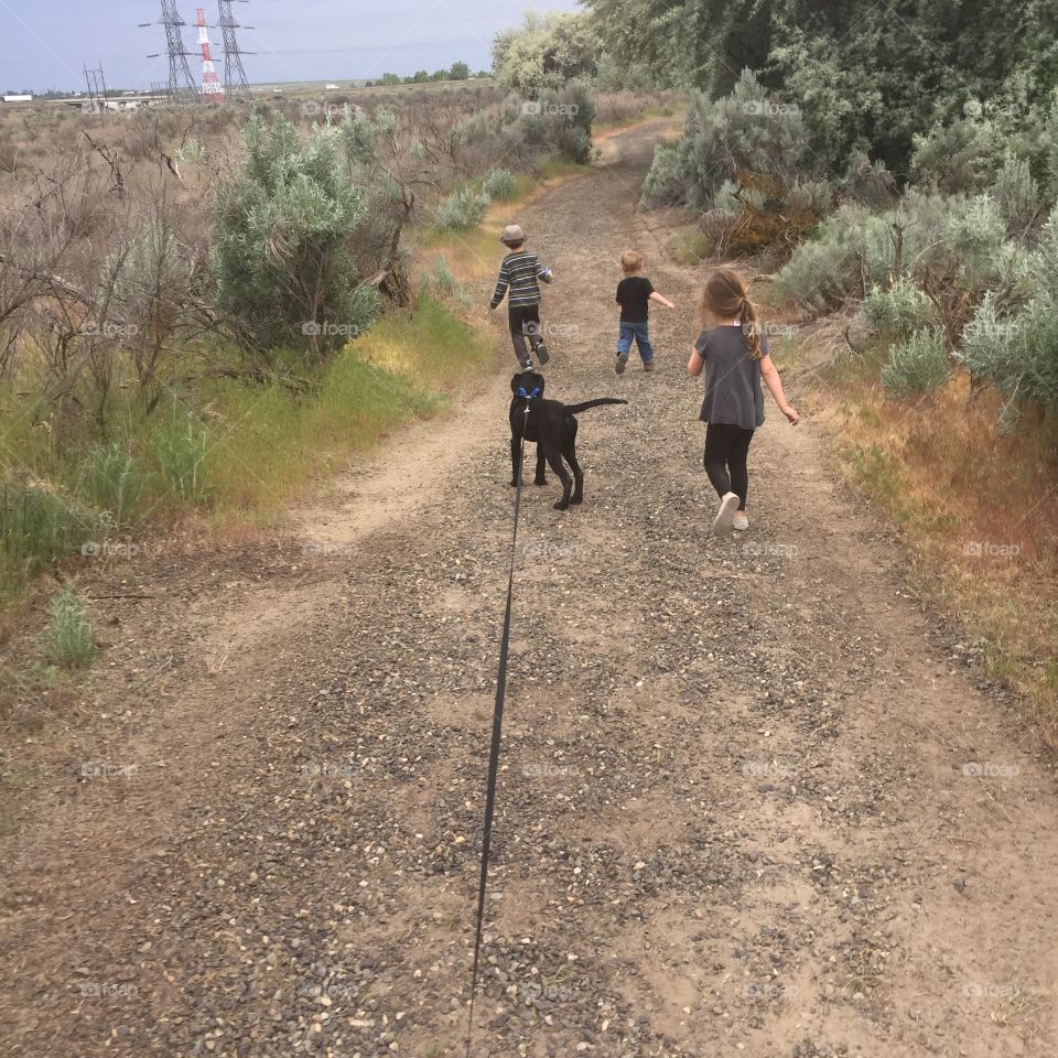 A hike and a dog walk