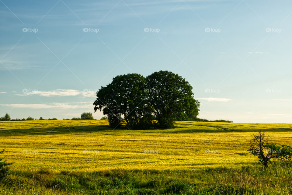 Landschaftsbild