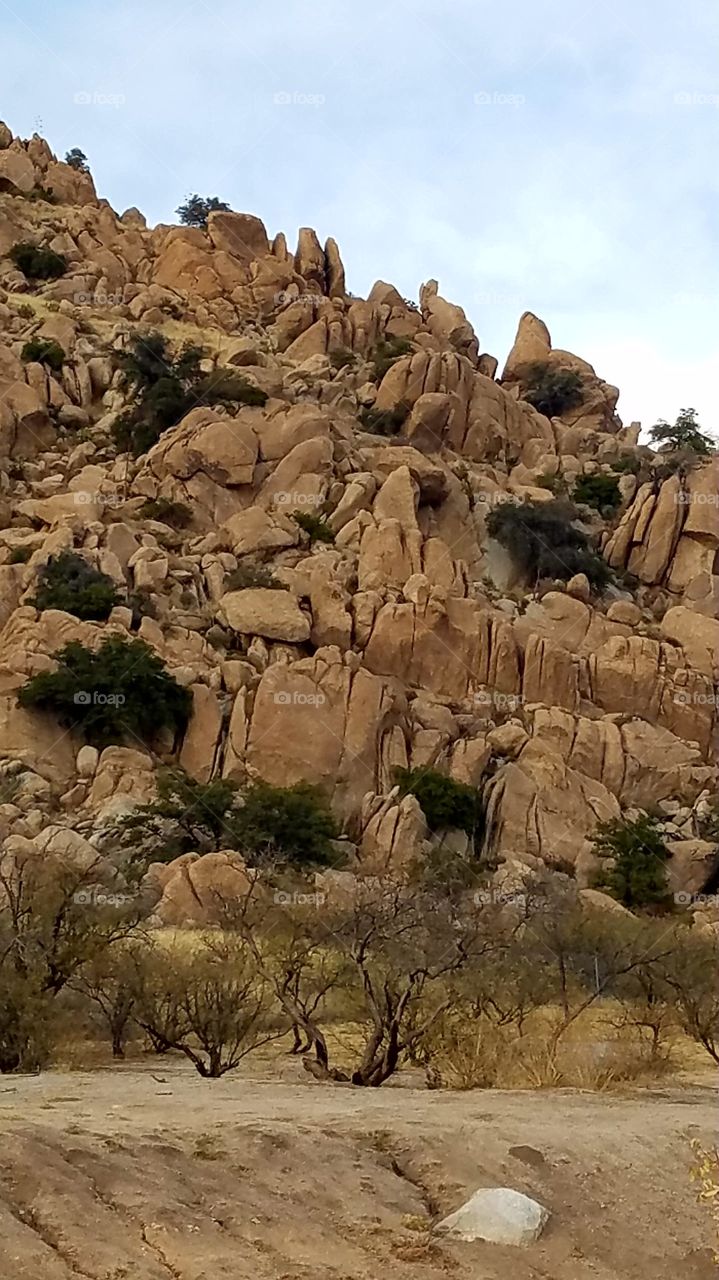 Texas canyon. Arizona.