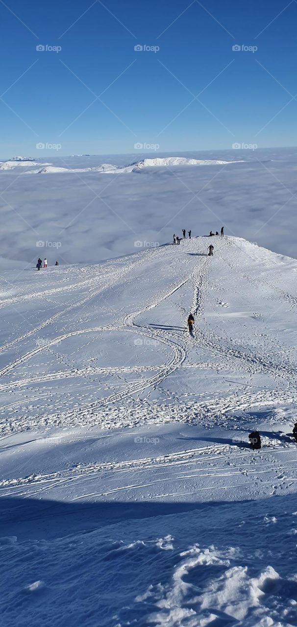 Sunny day, winter time to Carpathian mountains