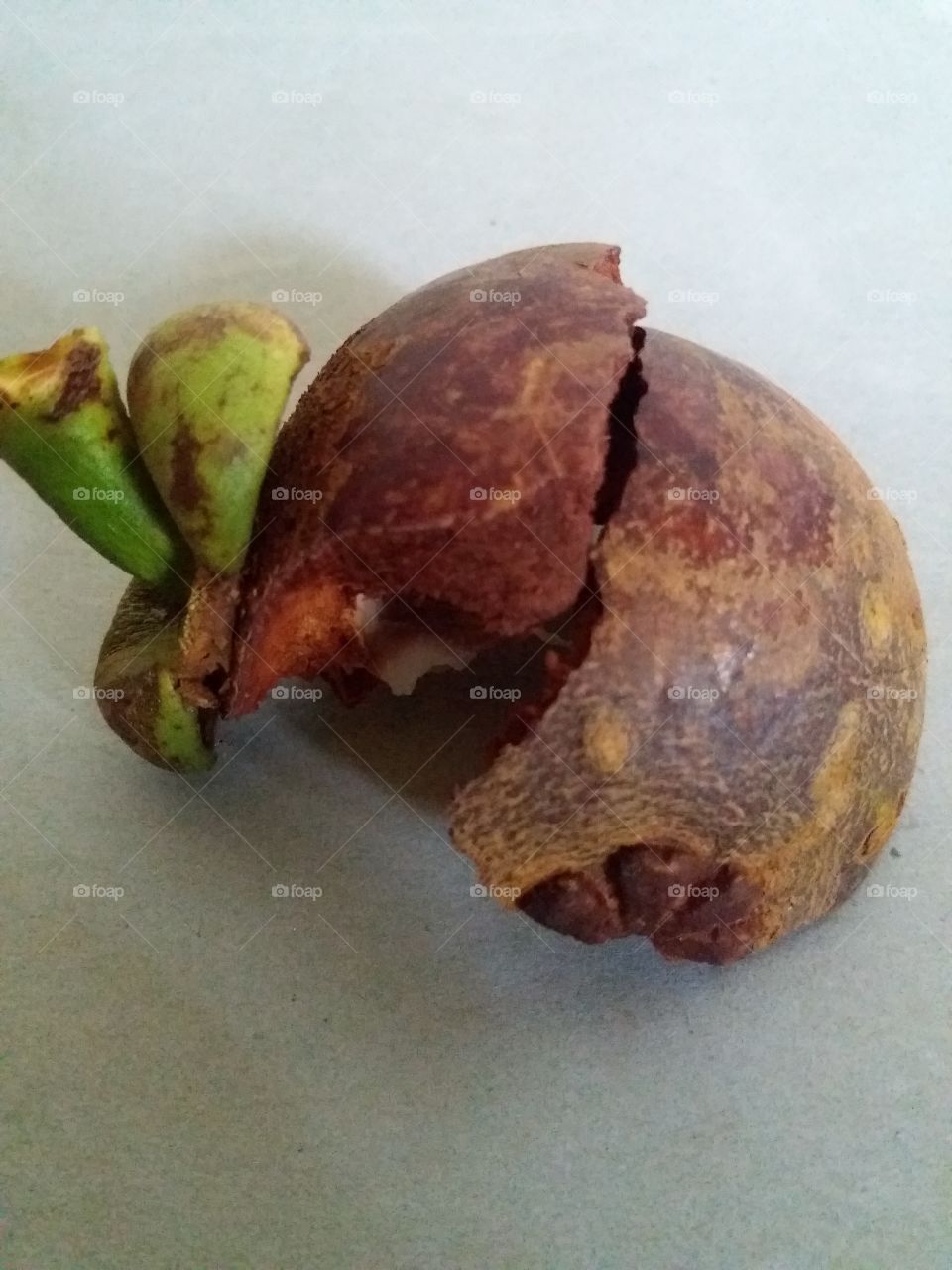 mangosteen peel

from the skin of this mangosteen can be used to be used as medicine, but if not should not make dirty environment