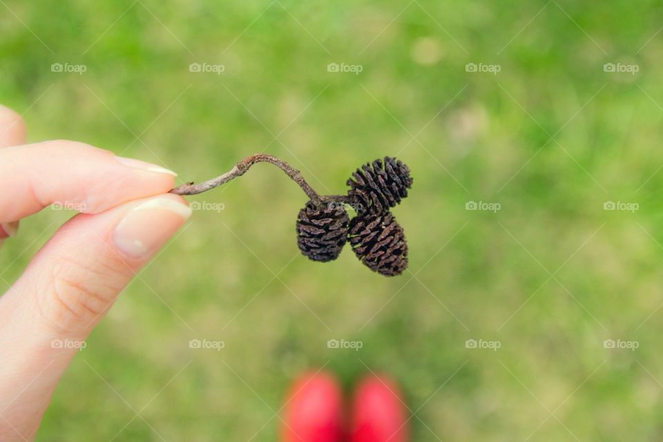 Small cones in the hand 