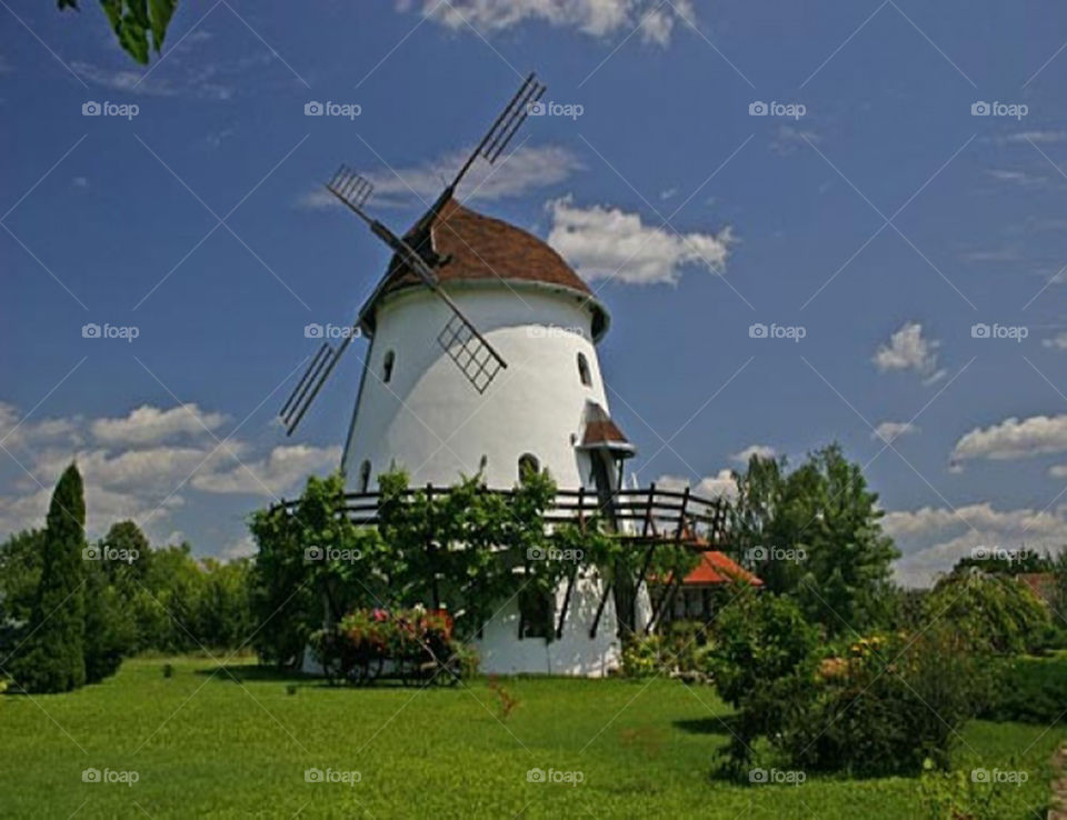 Small cotage in the vilage