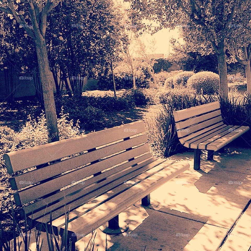 Park Benches 