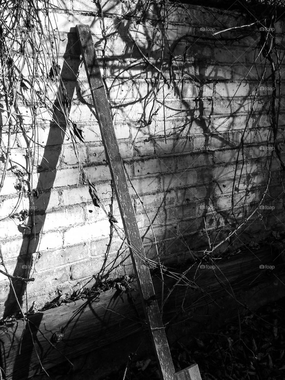 black and white of stick against wall
