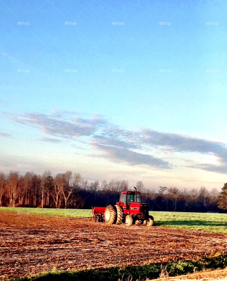 Red tractor on farm 