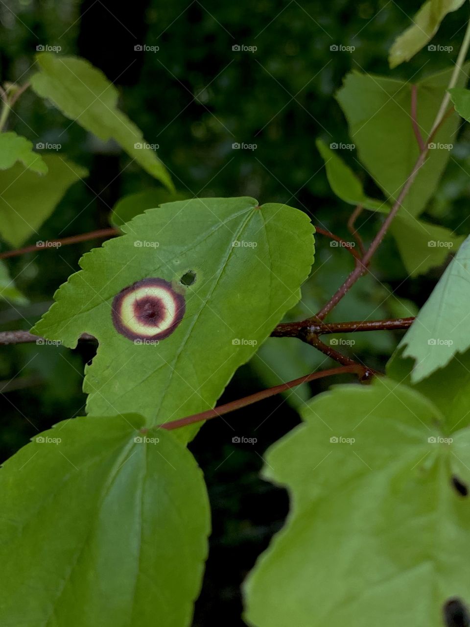 A bad Target commercial maybe?