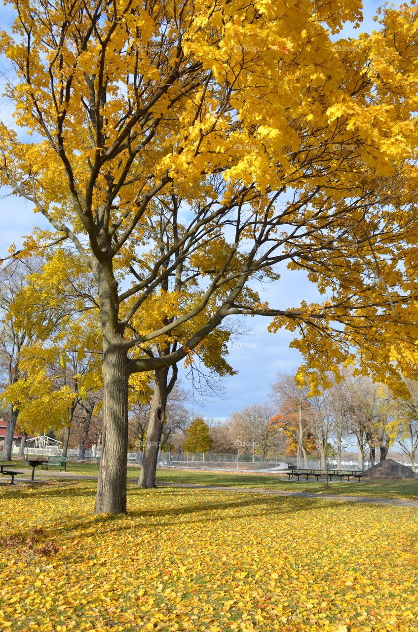 FALL in L💛VE with Autumn! 🍂🍁