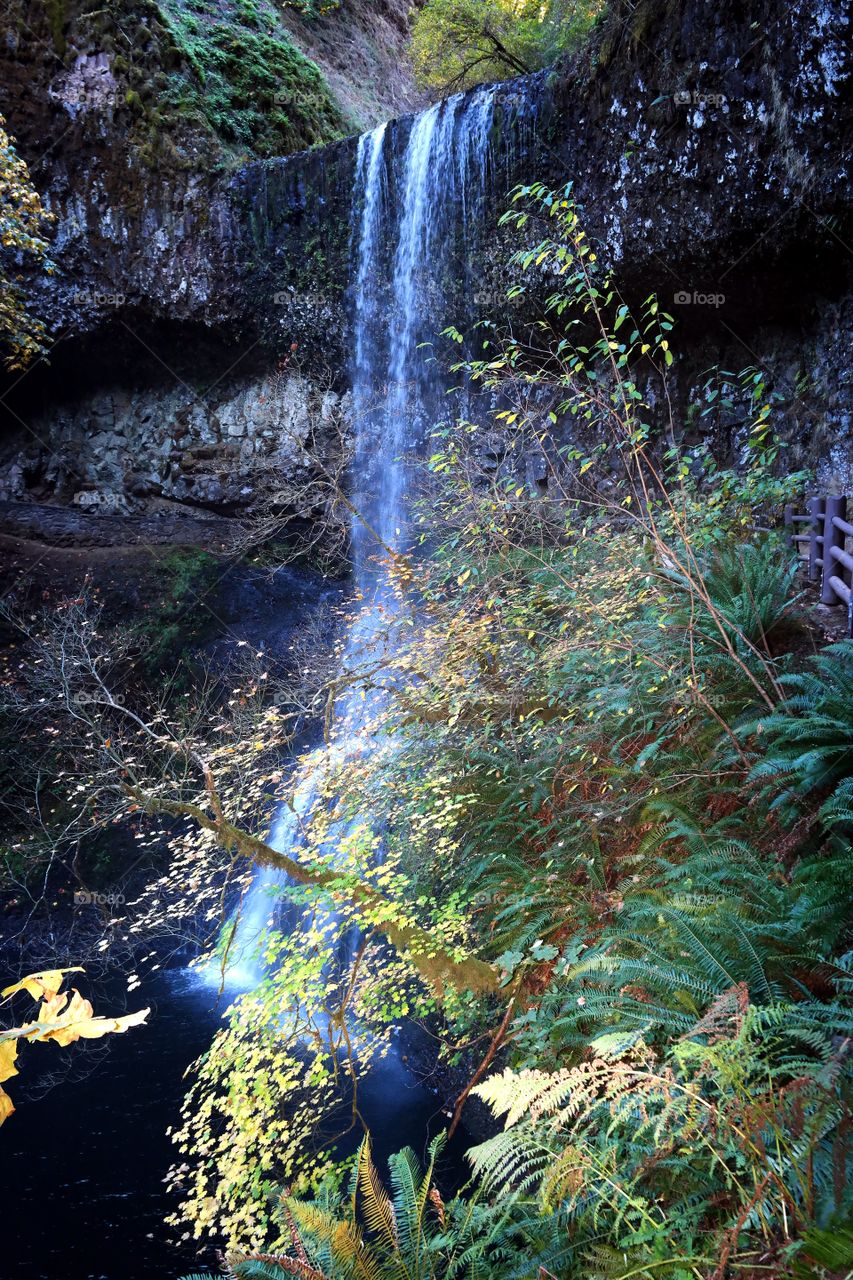 silver falls in the fall