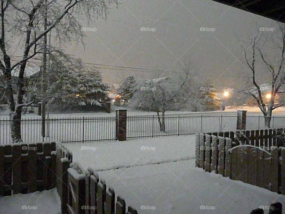 winter night time  fence and trees