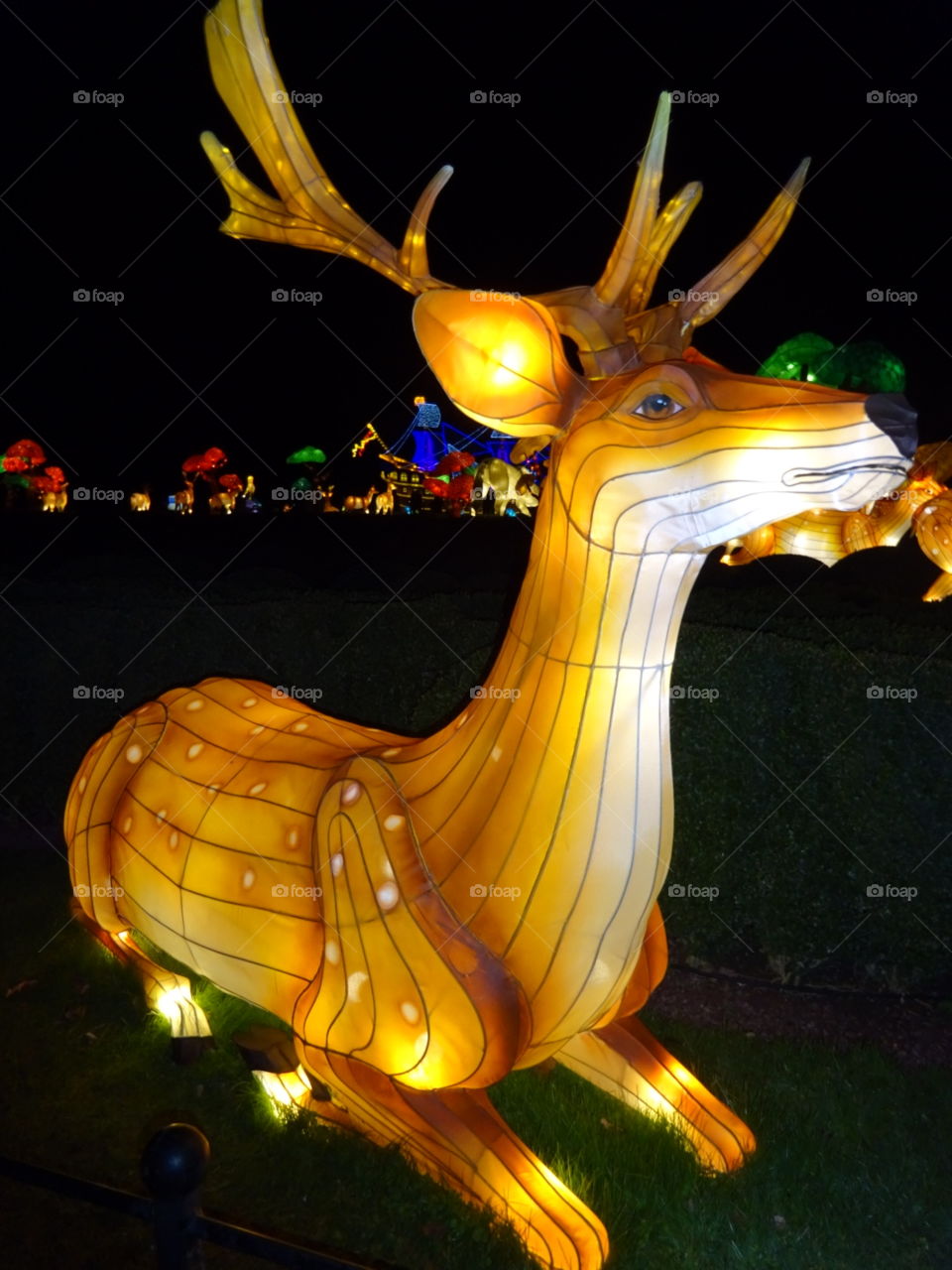 longleat festival of light 2017