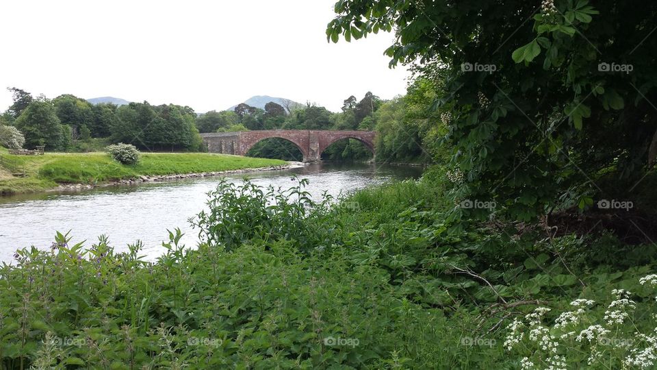 Bridge Along The River Tweed