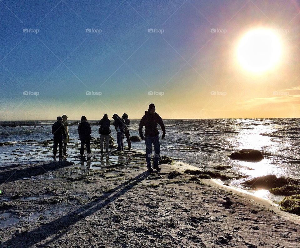 Seal watchers