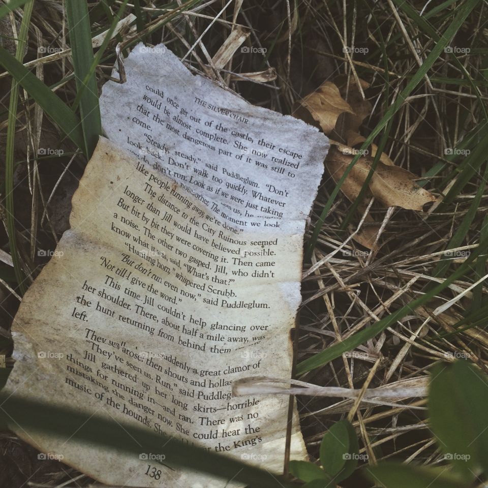 Lost Story. Old page from "The Silver Chair" found folded up in the dirt next to a lake in Springfield, Missouri