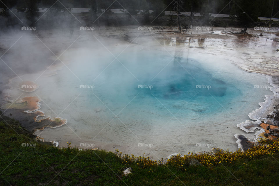 silex spring in Yellowstone