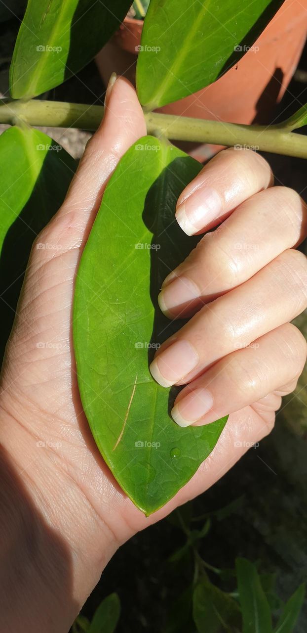 Beautiful  nails hands beautiful color and natural glitter