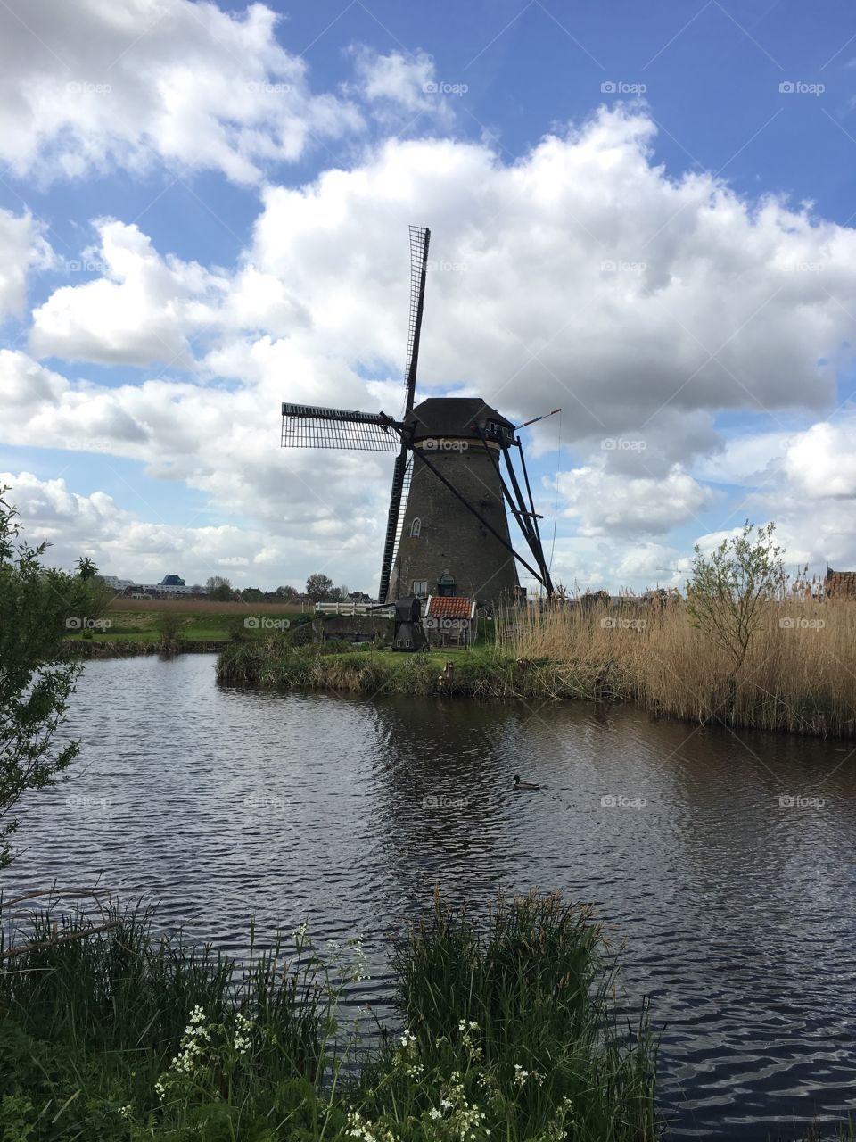 Got to see the windmills in Kinderdijk! It was a beautiful place. 