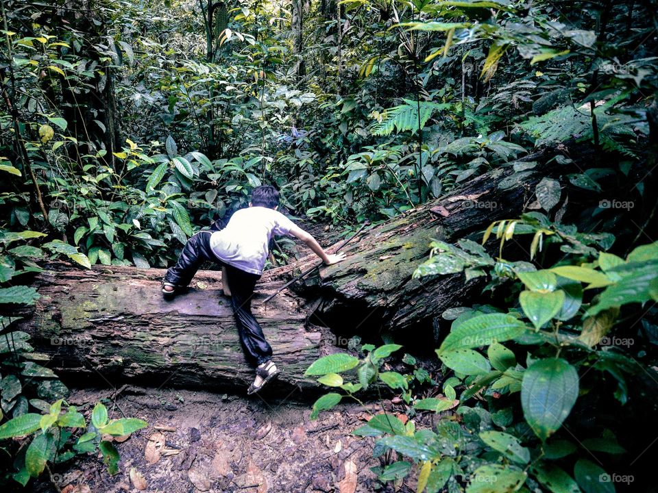 A boy struggling to climb over the broken log in the rainforest in Malaysia
