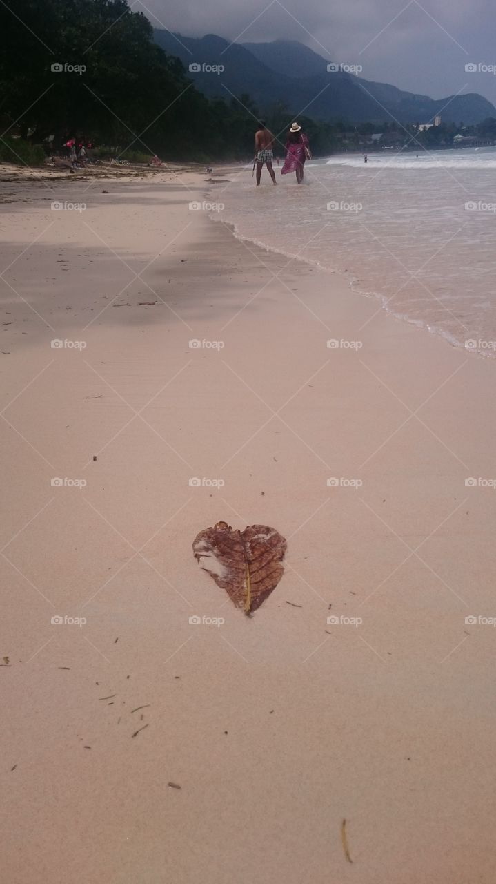 Beach, Sand, Seashore, Water, No Person