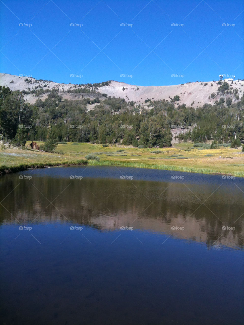 sky meadow nature pond by melody