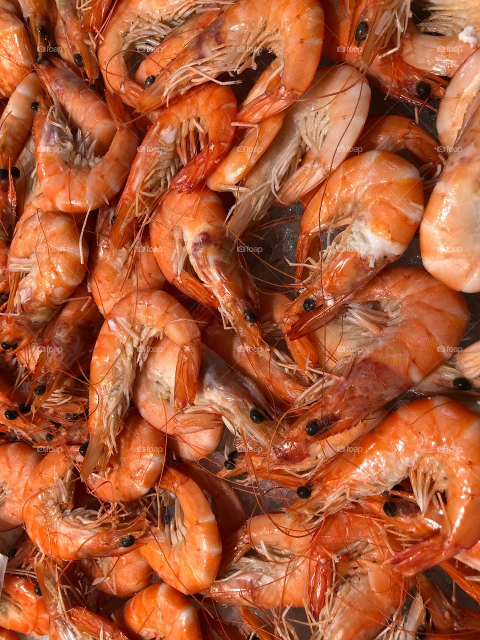 Shrimps