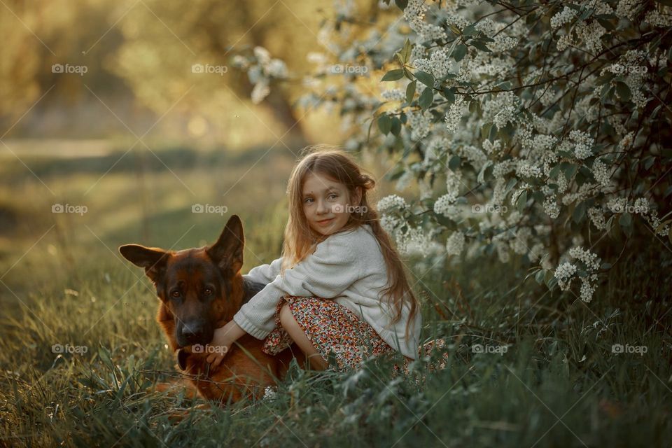 Little girl in blossom bird cherry in sunny spring  park