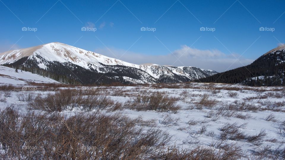 Alpine valley in Colorado