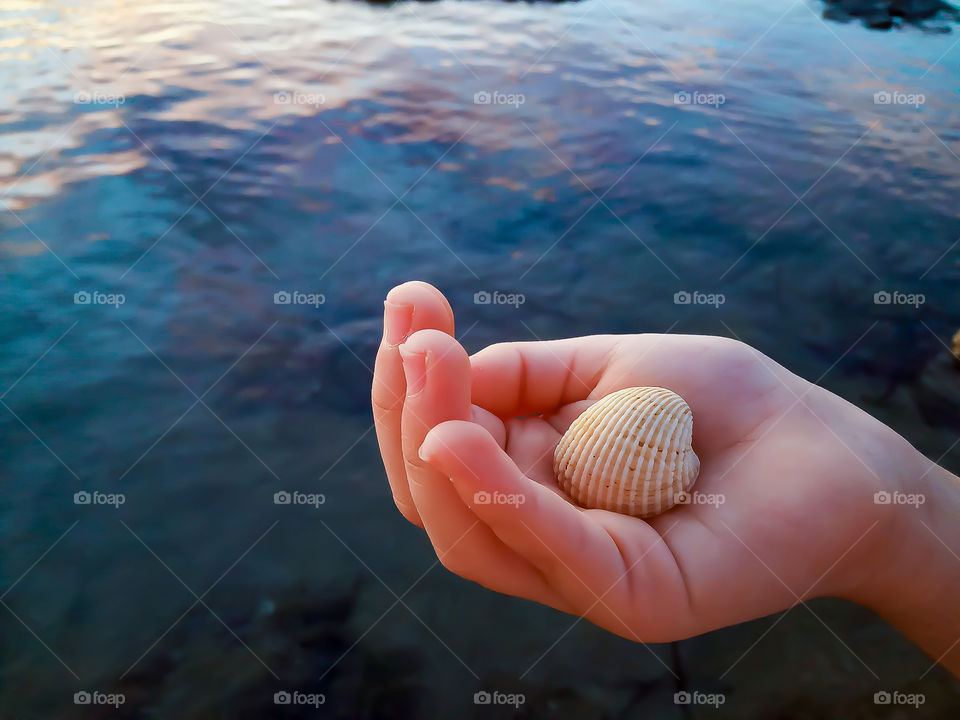 a child's hand holding a seashell