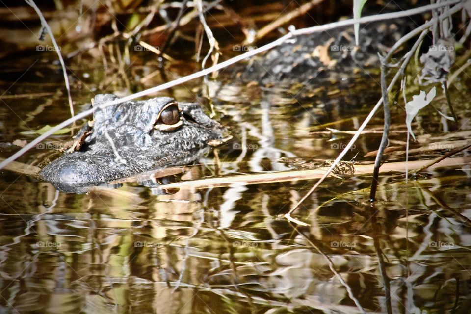 Risk or Regret? You choose. 