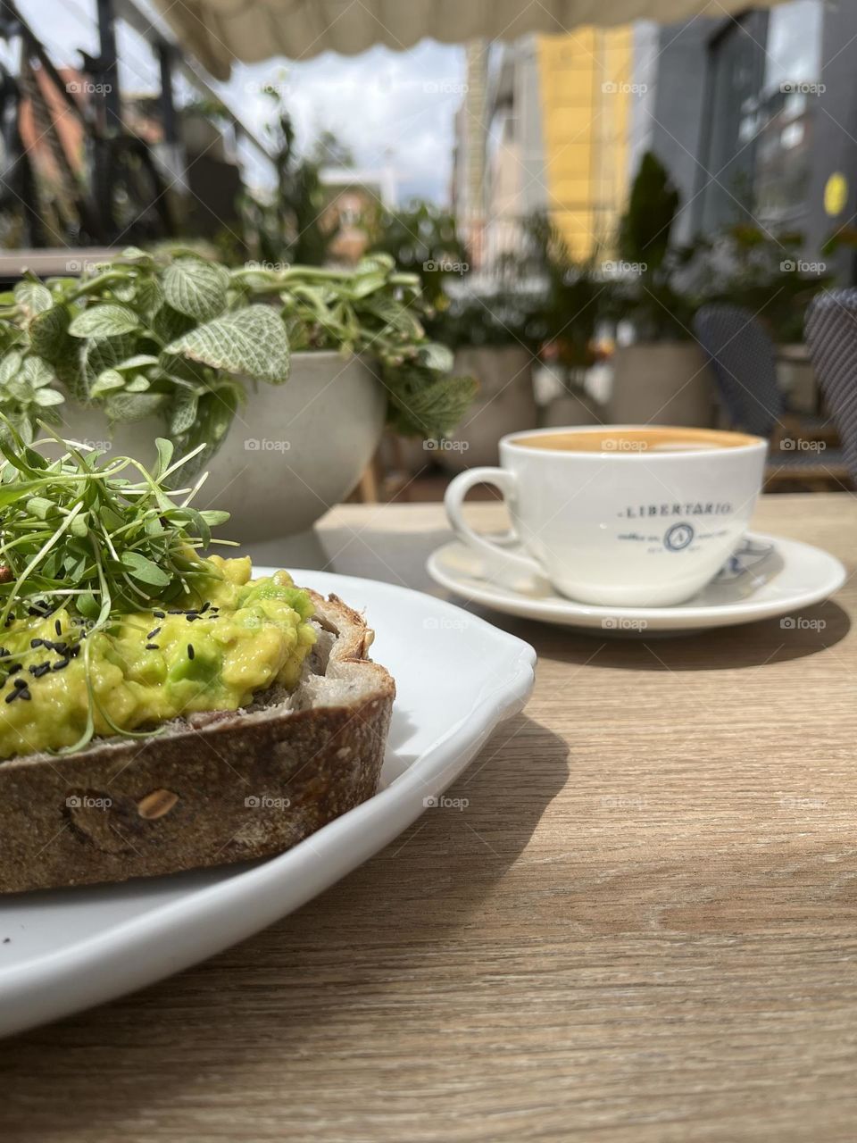 Plants, coffee and food