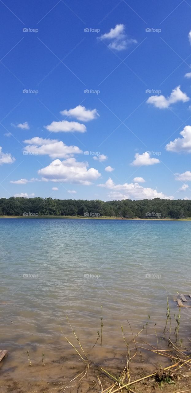 lake view on a sunny day